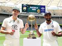 荼地进行 荼地进行