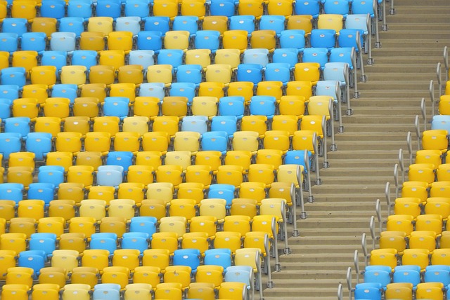 的未来前景 的未来前景